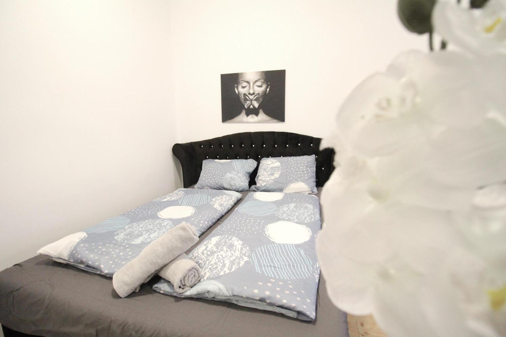 Comfort Apartment Hg ウィーン エクステリア 写真